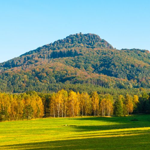 Ralsko